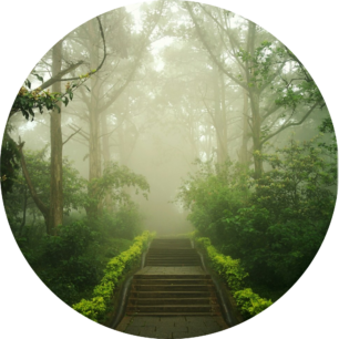 Bazaart_1509D222-F0FE-45BE-8AB2-08DCFBDC531E