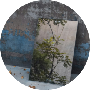 Bazaart_3457A497-074E-4340-83E8-B245FDDF5496