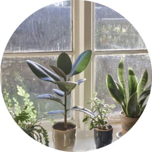 Bazaart_703BB2D7-DC98-4DBD-94EA-A0BF286A6544