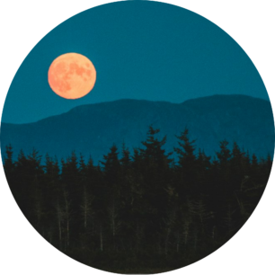 Bazaart_ADC053BD-F40B-48FE-A193-6F10AE1D940A