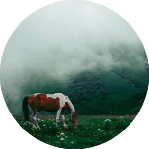 Bazaart_D266FA26-ACE9-40EA-B966-CAE9F4F3A1F3